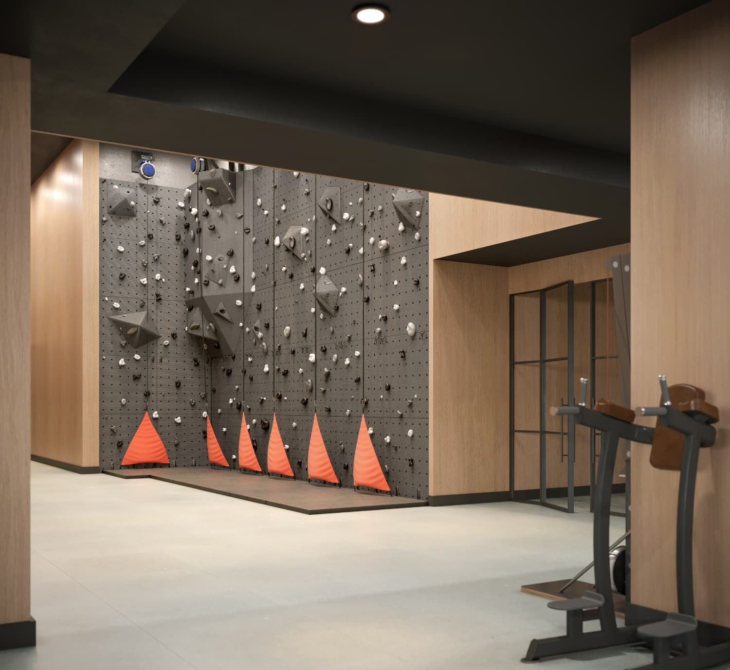 Climbing Wall and Fitness Center inside The Journal