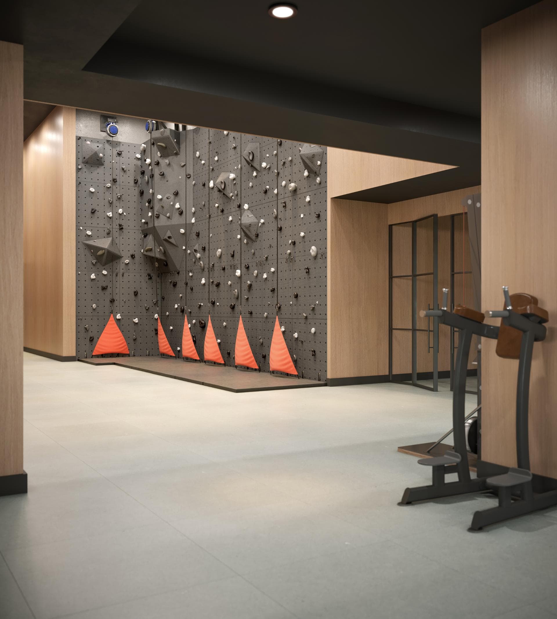 Climbing Wall and Fitness Center inside The Journal